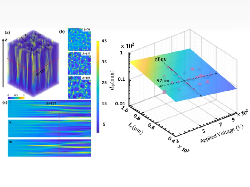 上海交大叶芳伟课题组首次观察到光的“二维网络和分叉”奇观